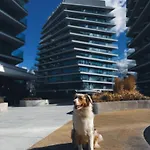 Wave By Solarento